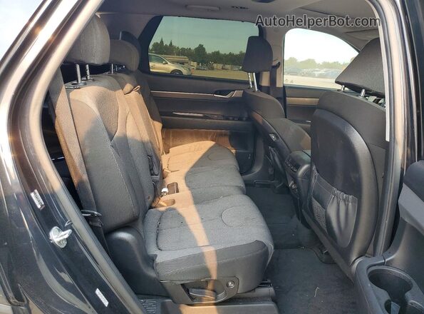 KM8R34HE8LU075883 2020 HYUNDAI PALISADE Gray Widok tylnych siedzeń