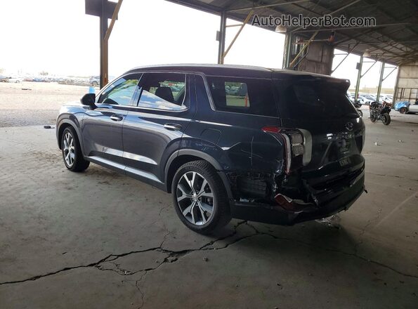KM8R44HE6LU153803 2020 HYUNDAI PALISADE Black Հետևի ձախ