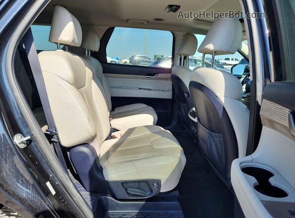 KM8R44HEXLU039058 2020 HYUNDAI PALISADE Blue უკანა სალონის ხედი