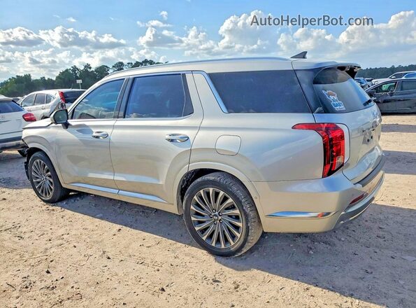 KM8R7DGE3RU763224 2024 HYUNDAI PALISADE Silver Tył lewy