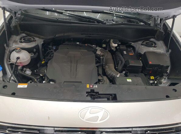 KM8RL5S29TU064413 2026 HYUNDAI PALISADE Silver Սալոնի հետևի տեսք