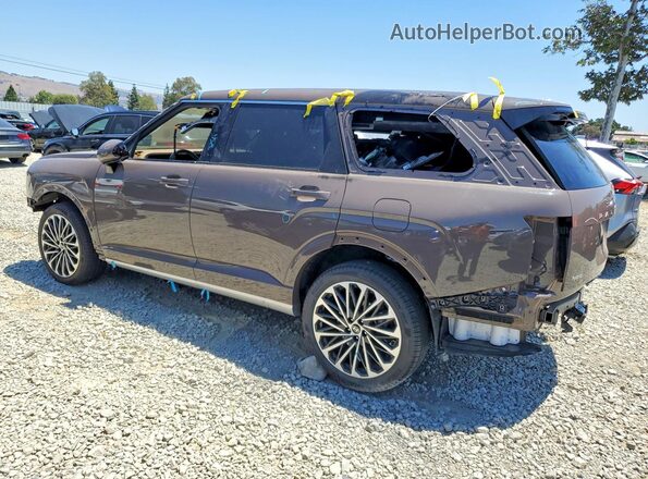KM8RMESA6TU042891 2026 HYUNDAI PALISADE Brown Trasero izquierdo
