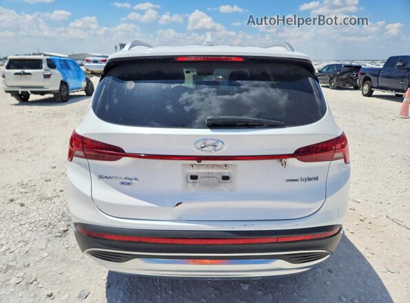 KM8S2DA13NU052980 2022 HYUNDAI SANTA White Vista trasera
