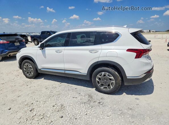KM8S2DA13NU052980 2022 HYUNDAI SANTA White Trasero izquierdo