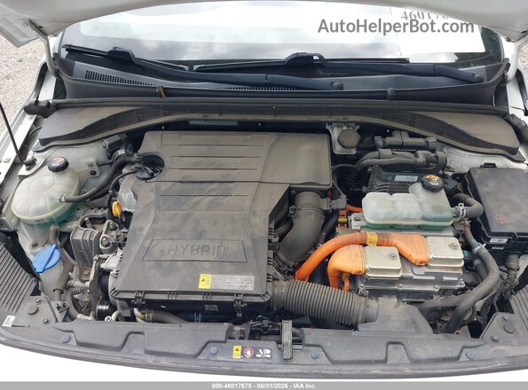 KMHC65LC5LU220032 2020 HYUNDAI IONIQ HYBRID White Widok z tyłu