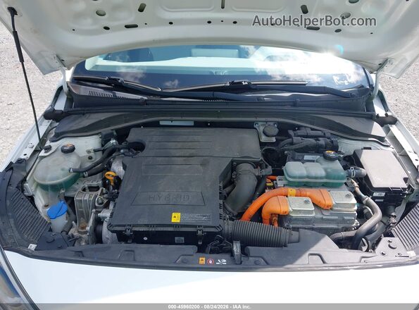 KMHC65LC7LU220081 2020 HYUNDAI IONIQ HYBRID Белый Вид сзади