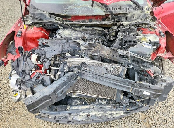 KMHCT4AE1HU276712 2017 HYUNDAI ACCENT Red Սալոնի հետևի տեսք