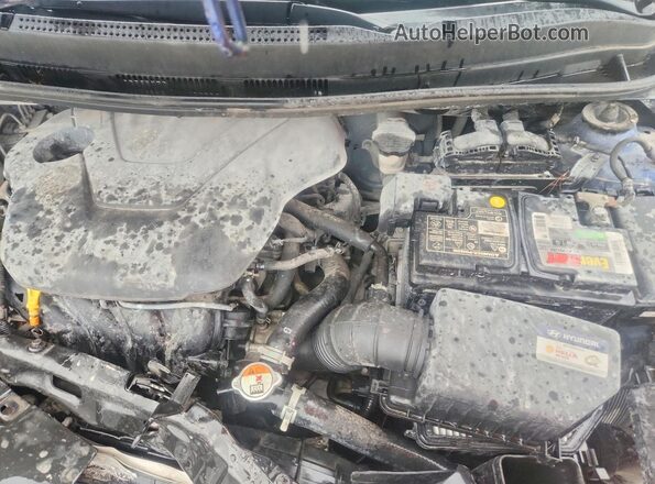KMHCT4AE8HU331625 2017 HYUNDAI ACCENT Blue უკანა სალონის ხედი