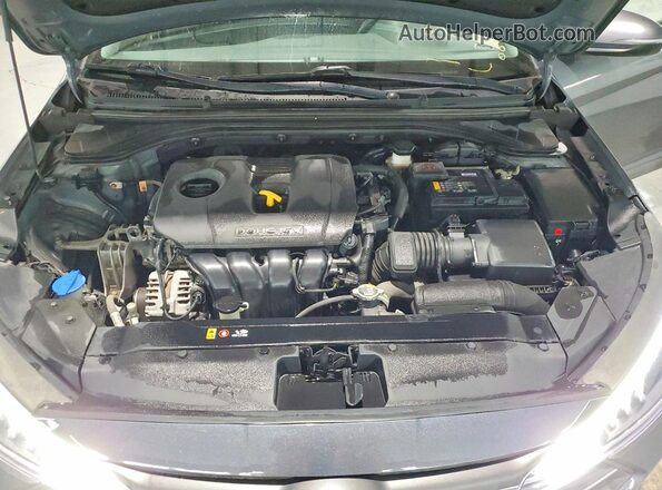KMHD84LF5LU907207 2020 HYUNDAI ELANTRA Gray Вид задньої частини салону