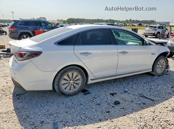 KMHE24L16GA009121 2016 HYUNDAI SONATA White უკანა მარჯვენა