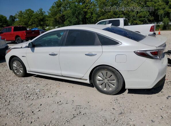 KMHE24L16GA009121 2016 HYUNDAI SONATA White უკანა მარცხენა