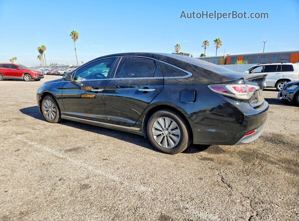 KMHE24L16GA013671 2016 HYUNDAI SONATA Black Tył lewy