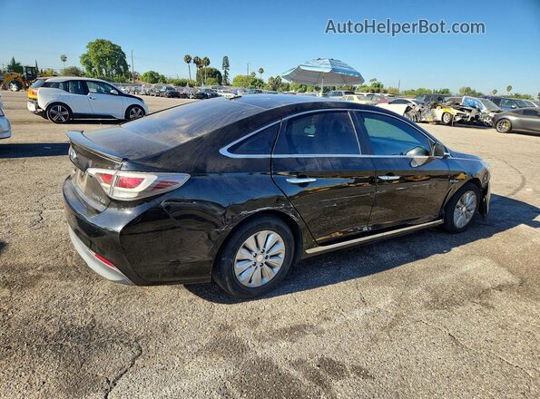 KMHE24L16GA013671 2016 HYUNDAI SONATA Black Tył prawy