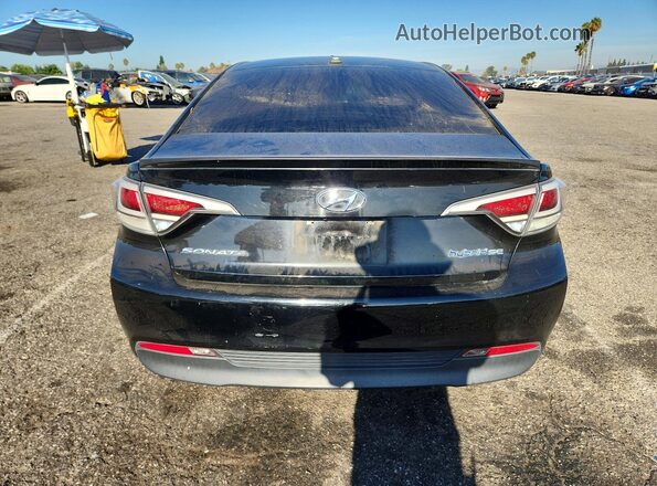 KMHE24L16GA013671 2016 HYUNDAI SONATA Black Widok z tyłu