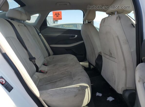 KMHL64JA6PA287824 2023 HYUNDAI SONATA White 