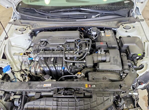 KMHLL4DG3SU070974 2025 HYUNDAI ELANTRA Белый Вид задней части салона