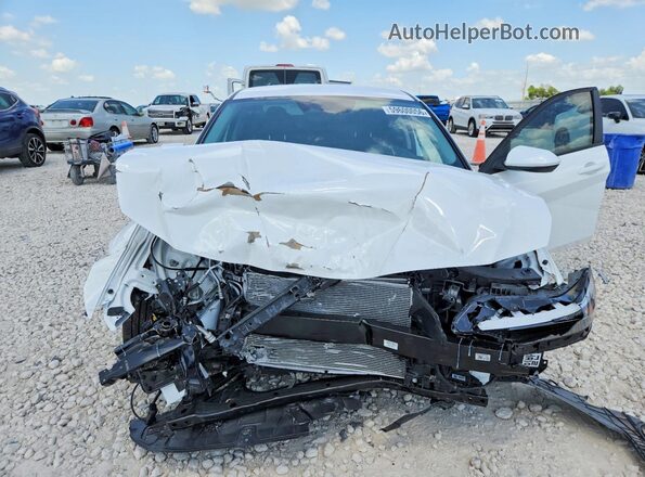 KMHLL4DG6TU164512 2026 HYUNDAI ELANTRA Белый Вид задней части салона