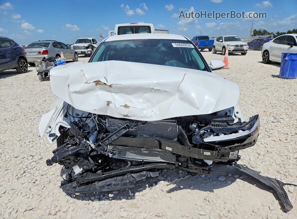 KMHLL4DG6TU164512 2026 HYUNDAI ELANTRA Белый Вид спереди