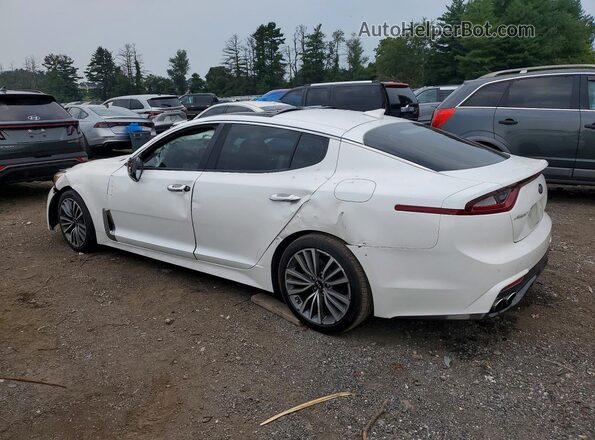 KNAE25LA0K6059614 2019 KIA STINGER White Задня ліва чверть