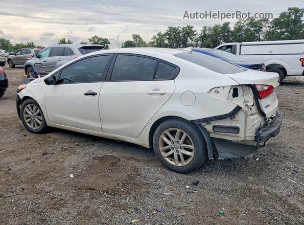 KNAFX4A67G5559412 2016 KIA FORTE White Tył lewy