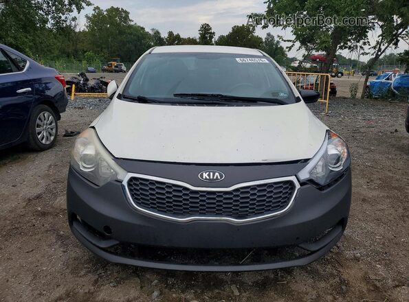 KNAFX4A67G5559412 2016 KIA FORTE White Widok z przodu