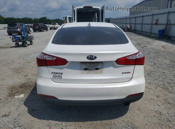 KNAFX4A82G5545466 2016 KIA FORTE White Вид ззаду