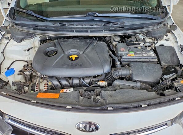 KNAFX6A88G5658964 2016 KIA FORTE White Widok wnętrza z tyłu