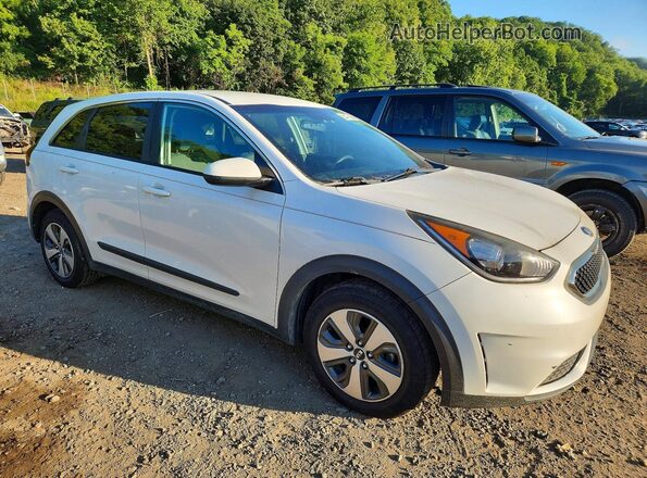 KNDCB3LC4H5045696 2017 KIA NIRO Белый Передняя правая четверть