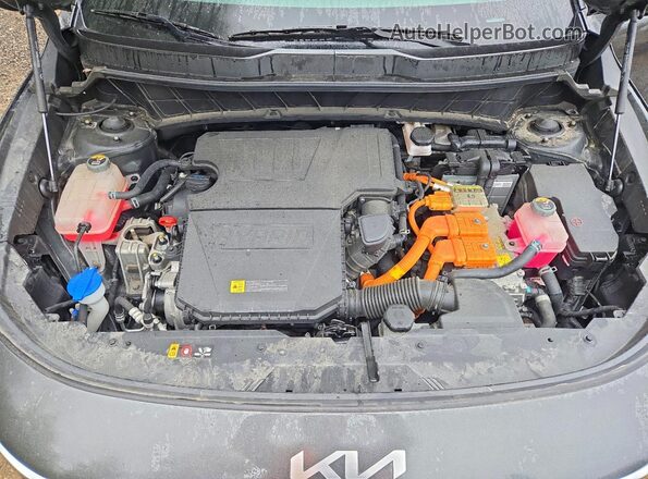 KNDCR3LE6P5093339 2023 KIA NIRO Серый Вид задней части салона