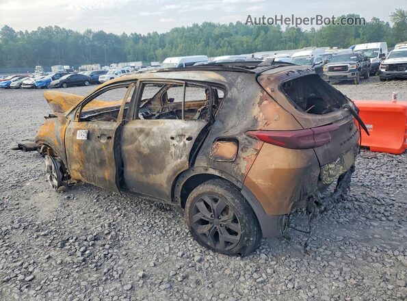 KNDP6CAC8M7881311 2021 KIA SPORTAGE Burn Задня ліва чверть