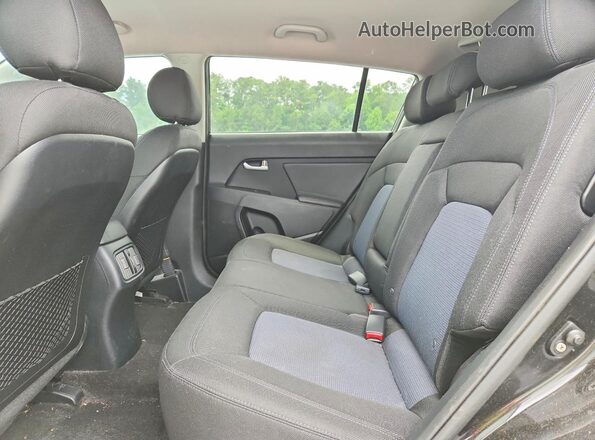 KNDPB3AC6G7838473 2016 KIA SPORTAGE Black უკანა სალონის ხედი