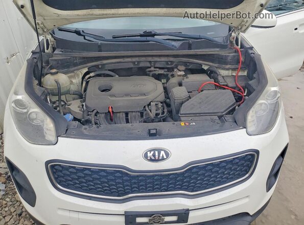 KNDPM3AC4J7455679 2018 KIA SPORTAGE White Շարժիչի բաժամունքի տեսք