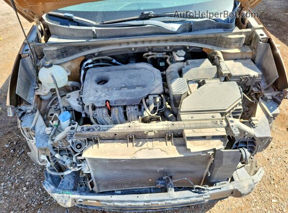 KNDPM3AC8J7481945 2018 KIA SPORTAGE Tan Սալոնի հետևի տեսք