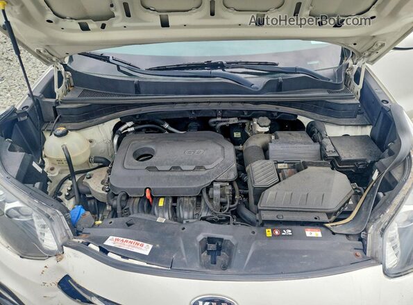 KNDPMCAC7L7651599 2020 KIA SPORTAGE Белый Вид задней части салона