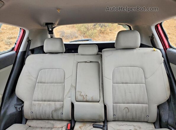 KNDPMCACXL7726196 2020 KIA SPORTAGE Red Вид задніх сидінь
