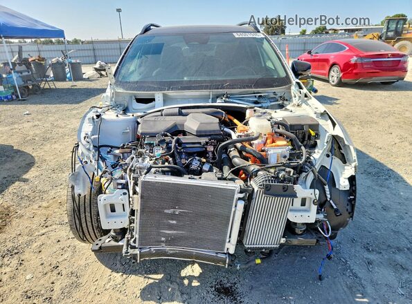 KNDPZDDH3S7242044 2025 KIA SPORTAGE White Вид спереду