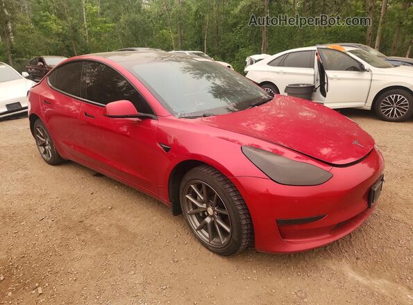 LRW3E1EB9PC924781 2023 TESLA MODEL Red წინა მარჯვენა