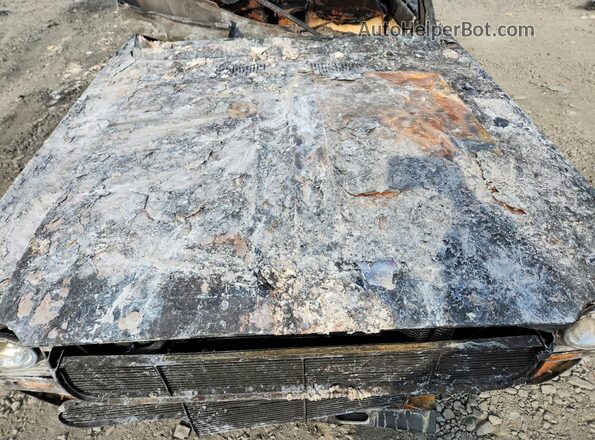 SH27T258701 1965 FORD RANCHERO Burn Widok wnętrza z tyłu