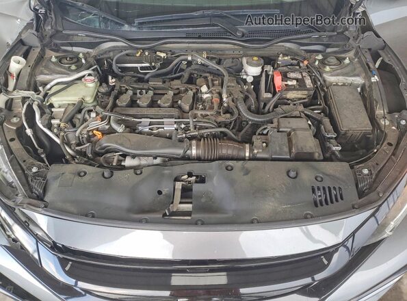 SHHFK7H42MU231380 2021 HONDA CIVIC Gray Вид задньої частини салону