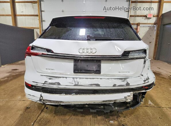 WA1AAAGE1MB022991 2021 AUDI E-TRON Белый Вид сзади