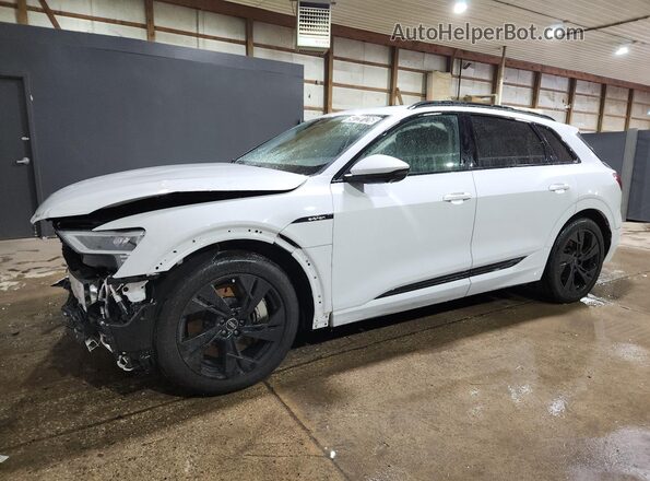 WA1AAAGE1MB022991 2021 AUDI E-TRON Белый 