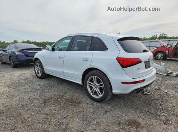 WA1D7AFP1GA064599 2016 AUDI Q5 White Задня ліва чверть