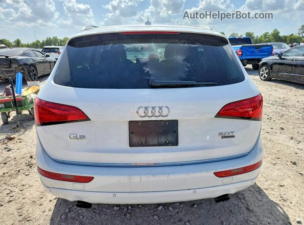 WA1L2AFP2GA037289 2016 AUDI Q5 White Rear view