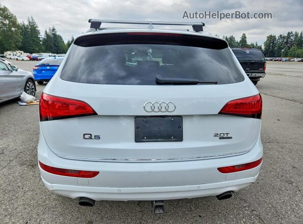 WA1L2AFPXGA129279 2016 AUDI Q5 White Հետևի տեսք