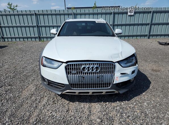 WA1UFAFL6GA014538 2016 AUDI A4 White Front view