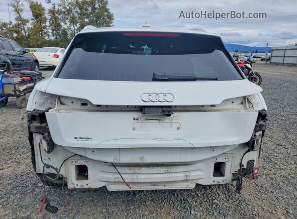 WA1VAAGE1KB025002 2019 AUDI E-TRON Белый Вид сзади