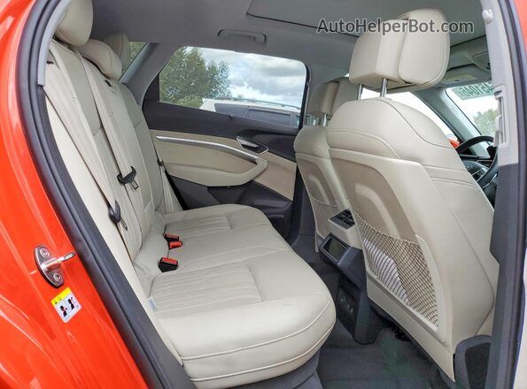 WA1VABGE3KB009955 2019 AUDI E-TRON Red Սալոնի հետևի տեսք