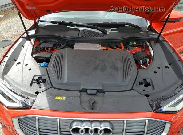 WA1VABGE3KB009955 2019 AUDI E-TRON Red Շարժիչի բաժամունքի տեսք