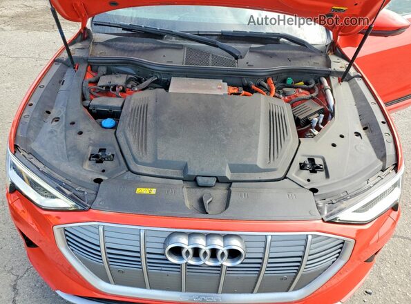 WA1VABGE4KB009821 2019 AUDI E-TRON Красный Вид задней части салона