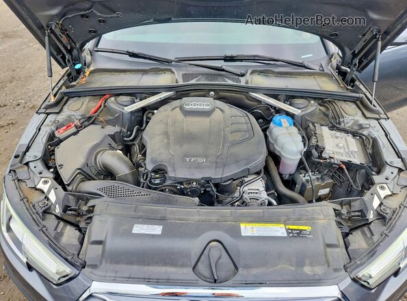 WAUENAF42KN005713 2019 AUDI A4 Gray Вид задньої частини салону